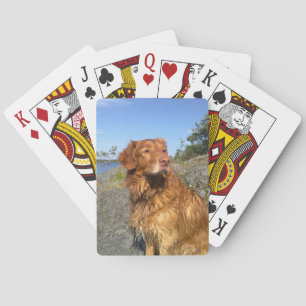 toller wet playing cards