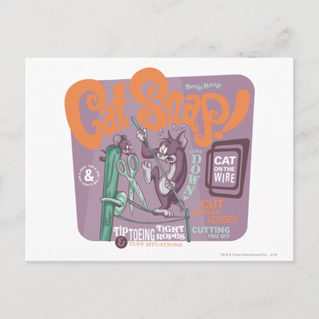 Tom and Jerry Cat Snap Postcard (Front)