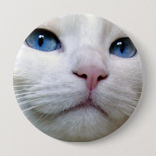 Tom button