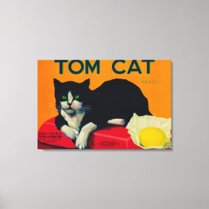Tom Cat Lemon LabelOrosi, CA Canvas Print