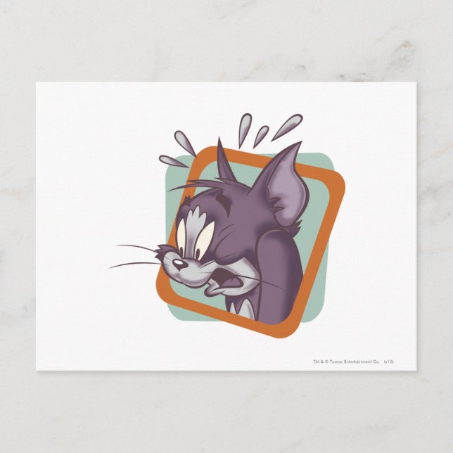 Tom Scaredy Cat Postcard (Front)