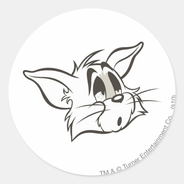 Tom Sleepy Cat Classic Round Sticker (Front)