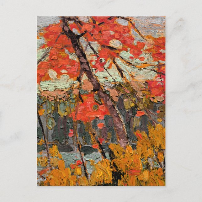 Tom Thomson - Twisted Maple Postcard (Front)