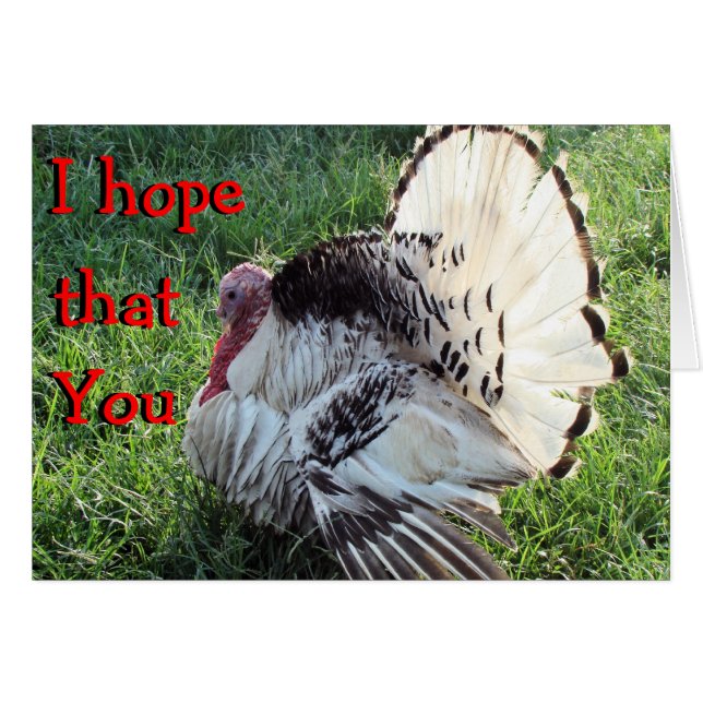 Tom Turkey fanned-customise any occasion (Front Horizontal)
