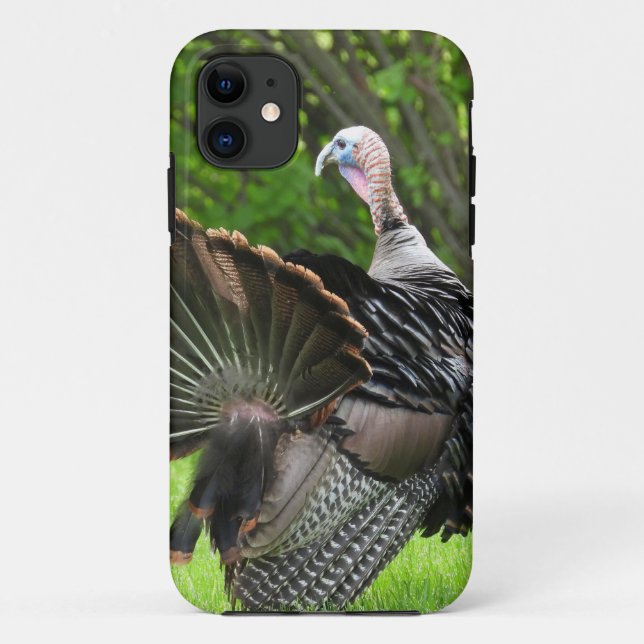 Tom Turkey Feather Display Case-Mate iPhone Case (Back)