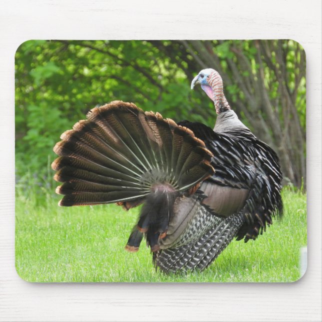 Tom Turkey Feather Display  Mouse Mat (Front)