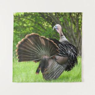 Tom Turkey Feather Display Tapestry