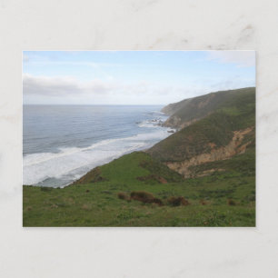 Tomales Point at Point Reyes National Seashore Postcard