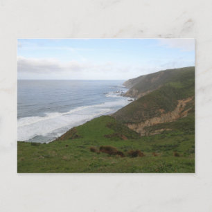 Tomales Point at Point Reyes National Seashore Postcard