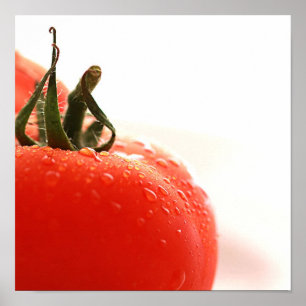 Tomato Close Up Poster