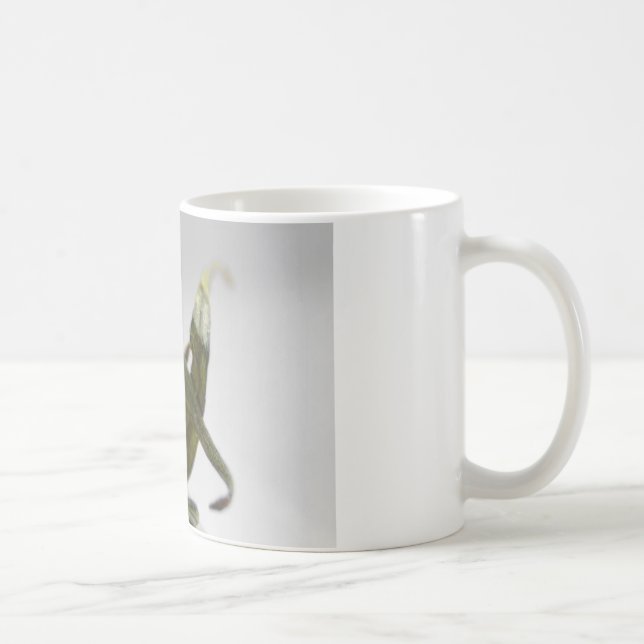 Tomato Coffee Mug (Right)