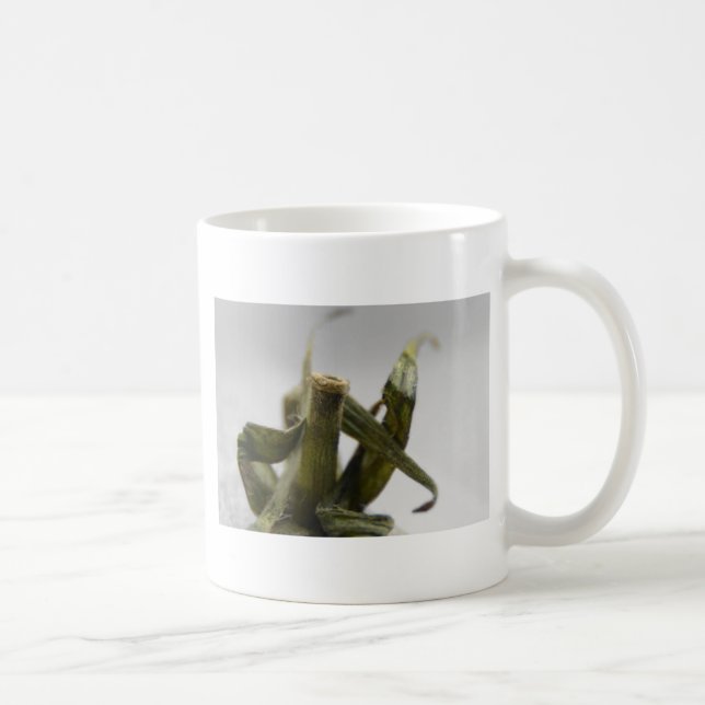 Tomato Coffee Mug (Right)