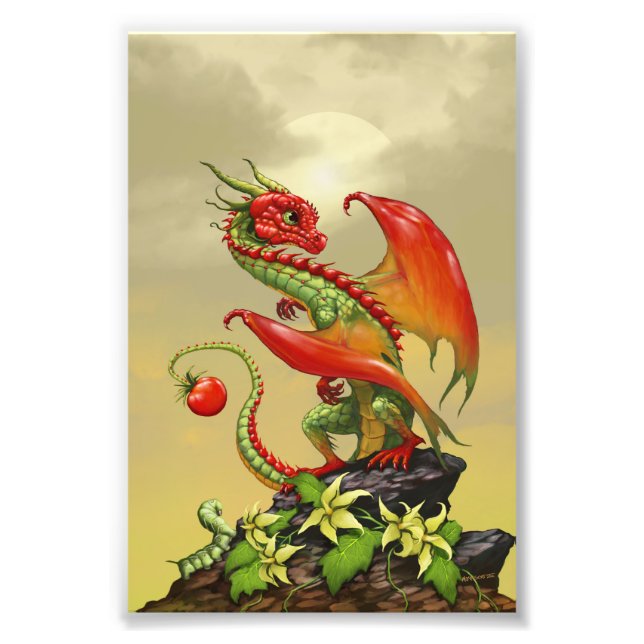 Tomato Dragon 4x6 Print (Front)