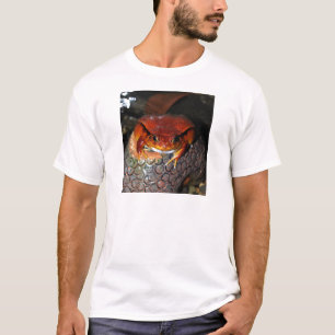Tomato frog T-Shirt