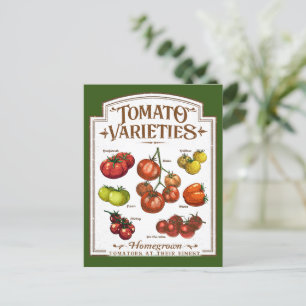 Tomato Gardener, Vegetable Tomatoes Gardening Postcard