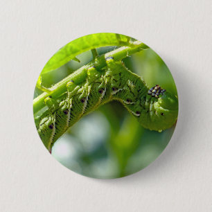 Tomato Hornworm 6 Cm Round Badge
