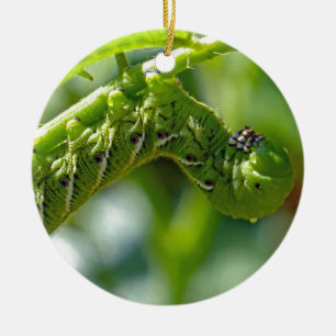 Tomato Hornworm Ceramic Ornament