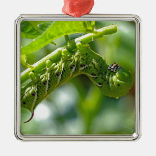 Tomato Hornworm Metal Tree Decoration