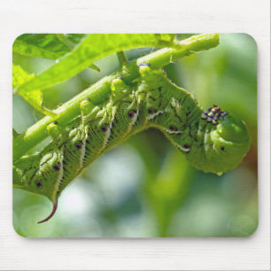 Tomato Hornworm Mouse Mat