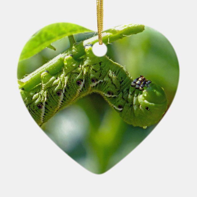Tomato Hornworm Ornament (Front)