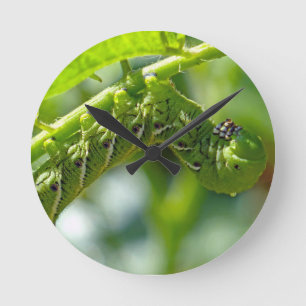 Tomato Hornworm Round Clock