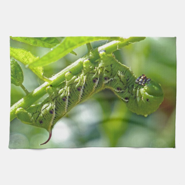 Tomato Hornworm Tea Towel (Horizontal)