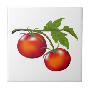 Tomato Kitchen Tile