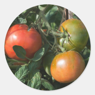 Tomato Label