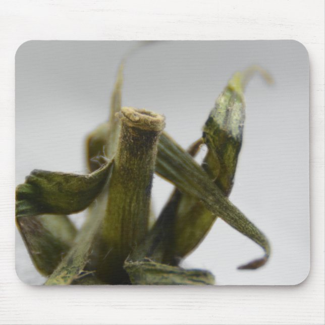 Tomato Mouse Mat (Front)