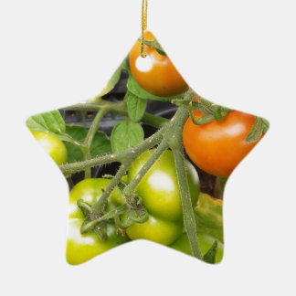 Tomato Plant Ceramic Tree Decoration