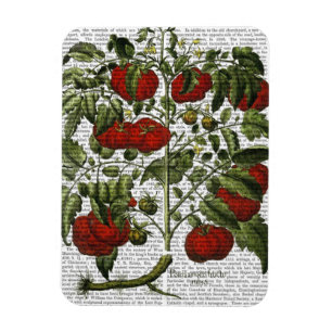 Tomato Plant Magnet