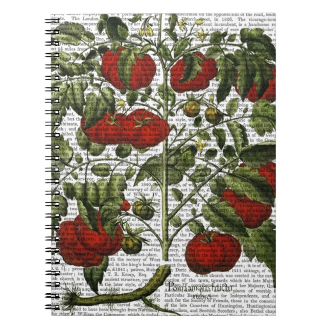 Tomato Plant Notebook (Front)