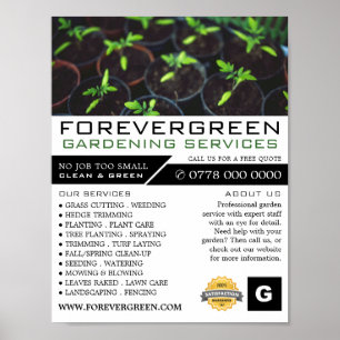 Tomato Plants, Gardening Service, Horticulturist Poster