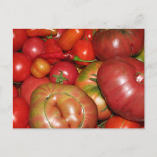 Tomato Postcard