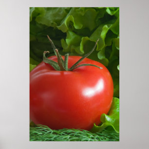 Tomato Poster