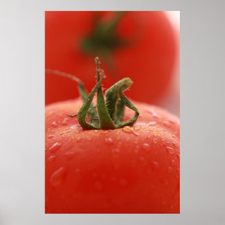Tomato Print