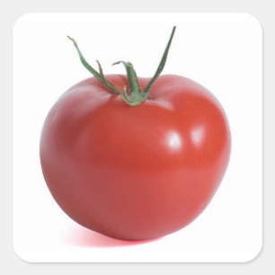 Tomato Square Sticker