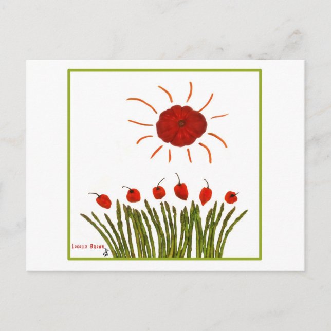 Tomato Sun Postcard (Front)
