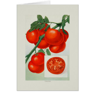 Tomatoes
