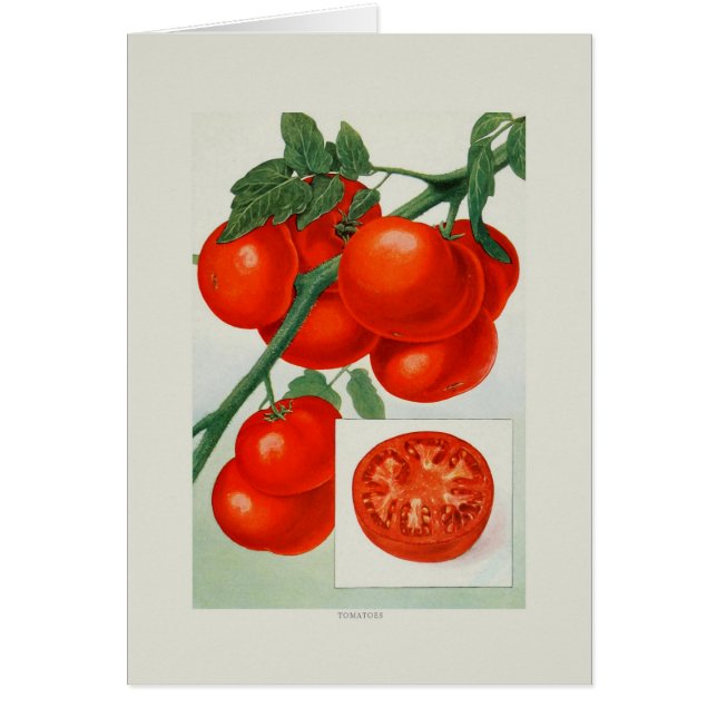 Tomatoes (Front)