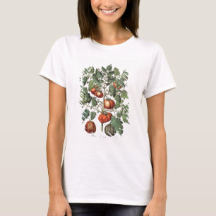 Tomatoes and Melons: 1.Poma amoris fructu luteo; 2 T-Shirt