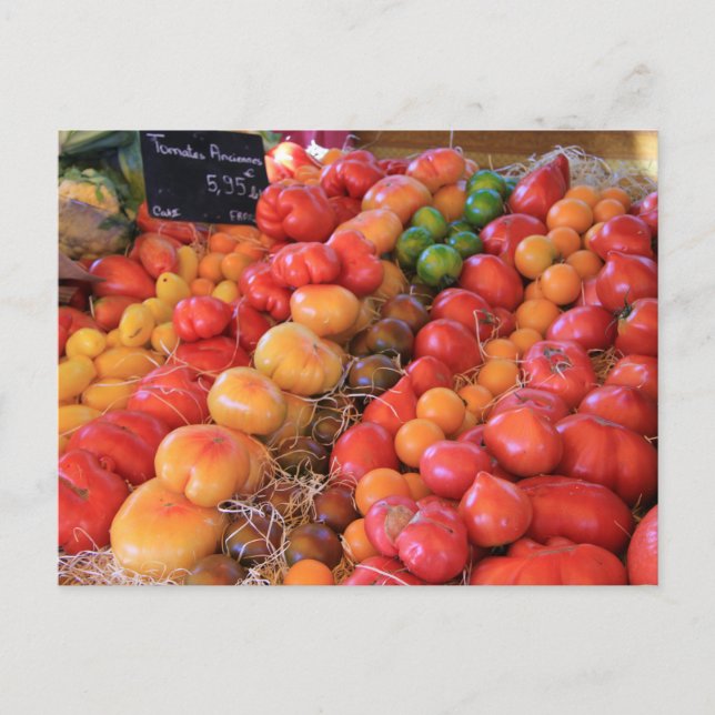 Tomatoes at a French market Postcard (Front)