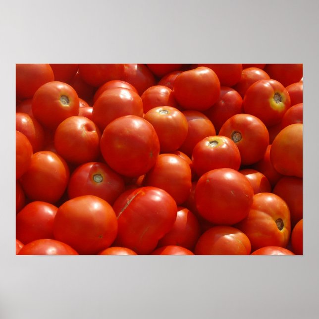 Tomatoes at the Market Poster (Front)