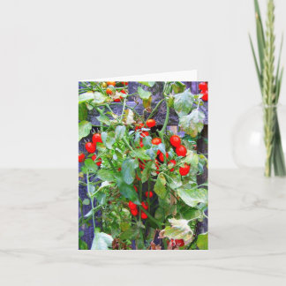 Tomatoes Card