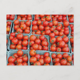 Tomatoes for Sale Postcard