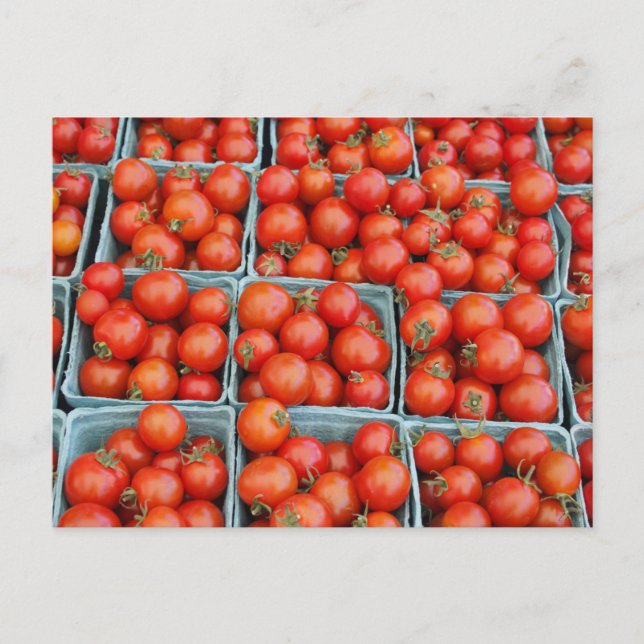 Tomatoes for Sale Postcard (Front)