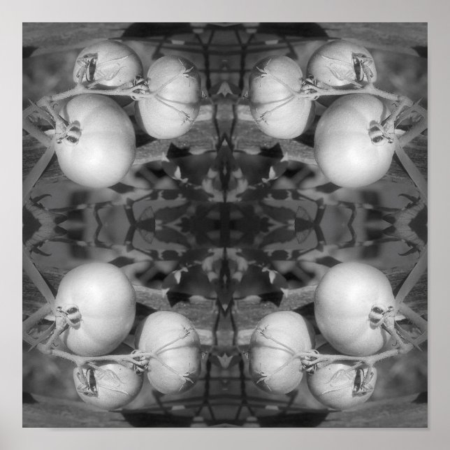 Tomatoes In Black And White Abstract  Poster (Front)