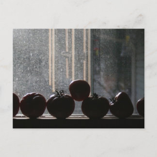Tomatoes in the window postcard