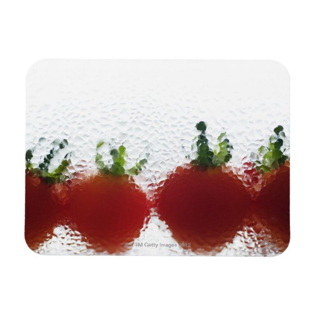 Tomatoes in water magnet (Horizontal)