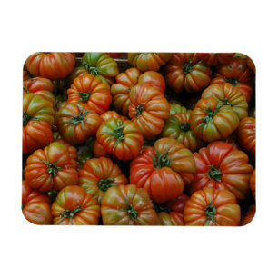Tomatoes Magnet
